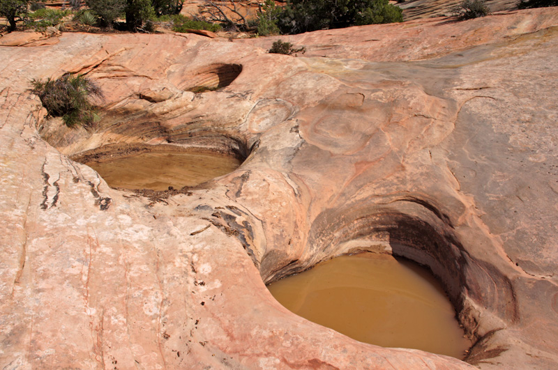 Many Pools Trail