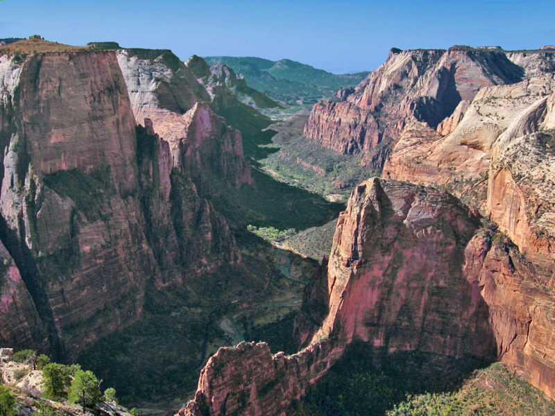 Observation Point