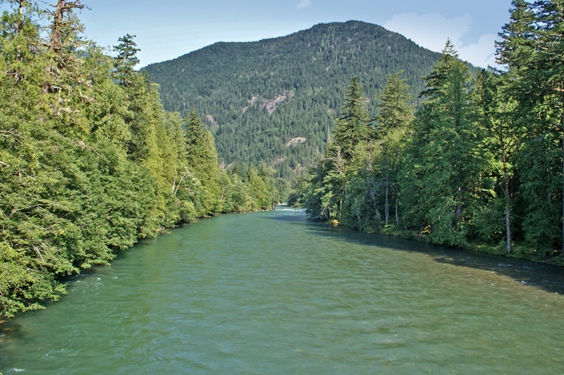 Skagit River