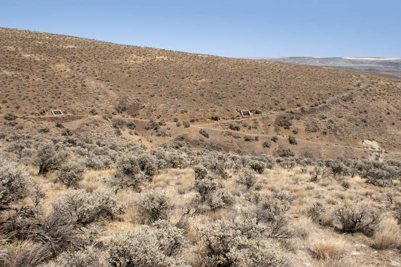 Ginkgo Petrified Forest