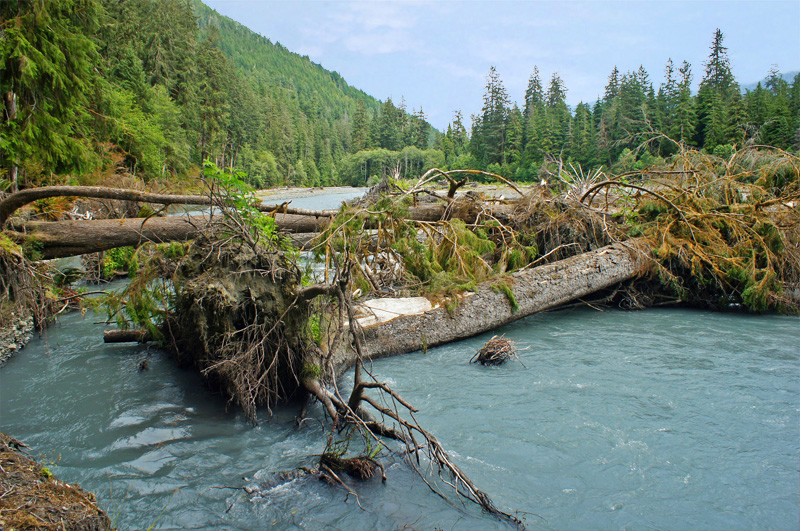 Hoh River