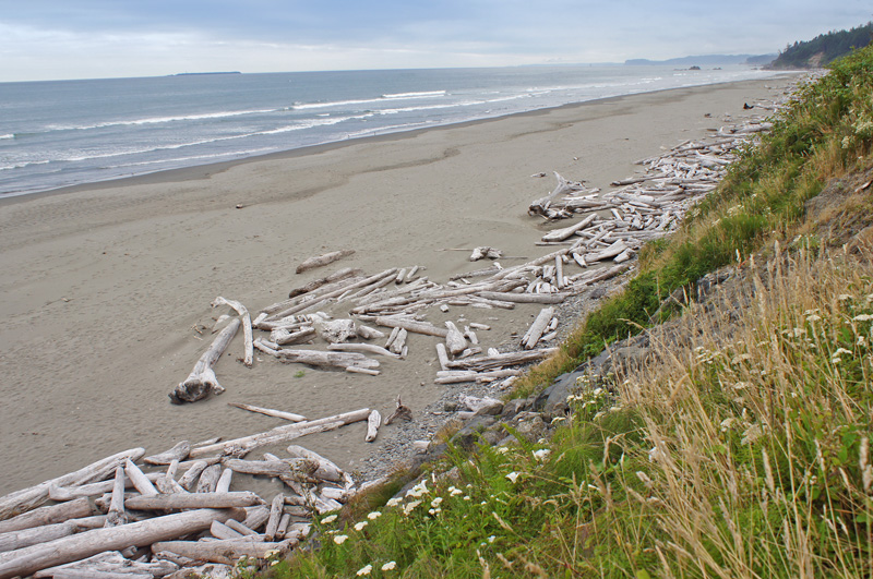 Kalaloch