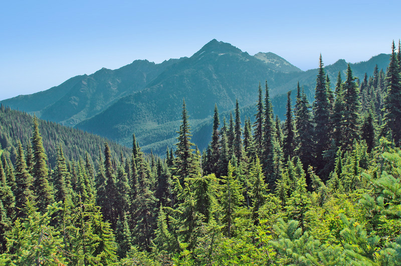 Mount Angeles