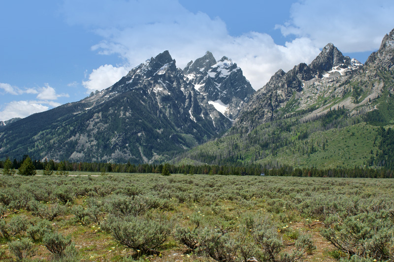 Grand Teton