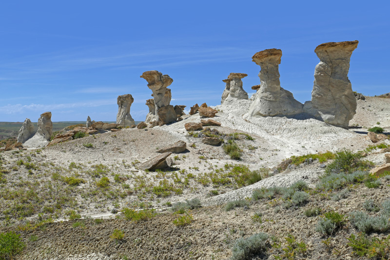 Honeycombs Wilderness